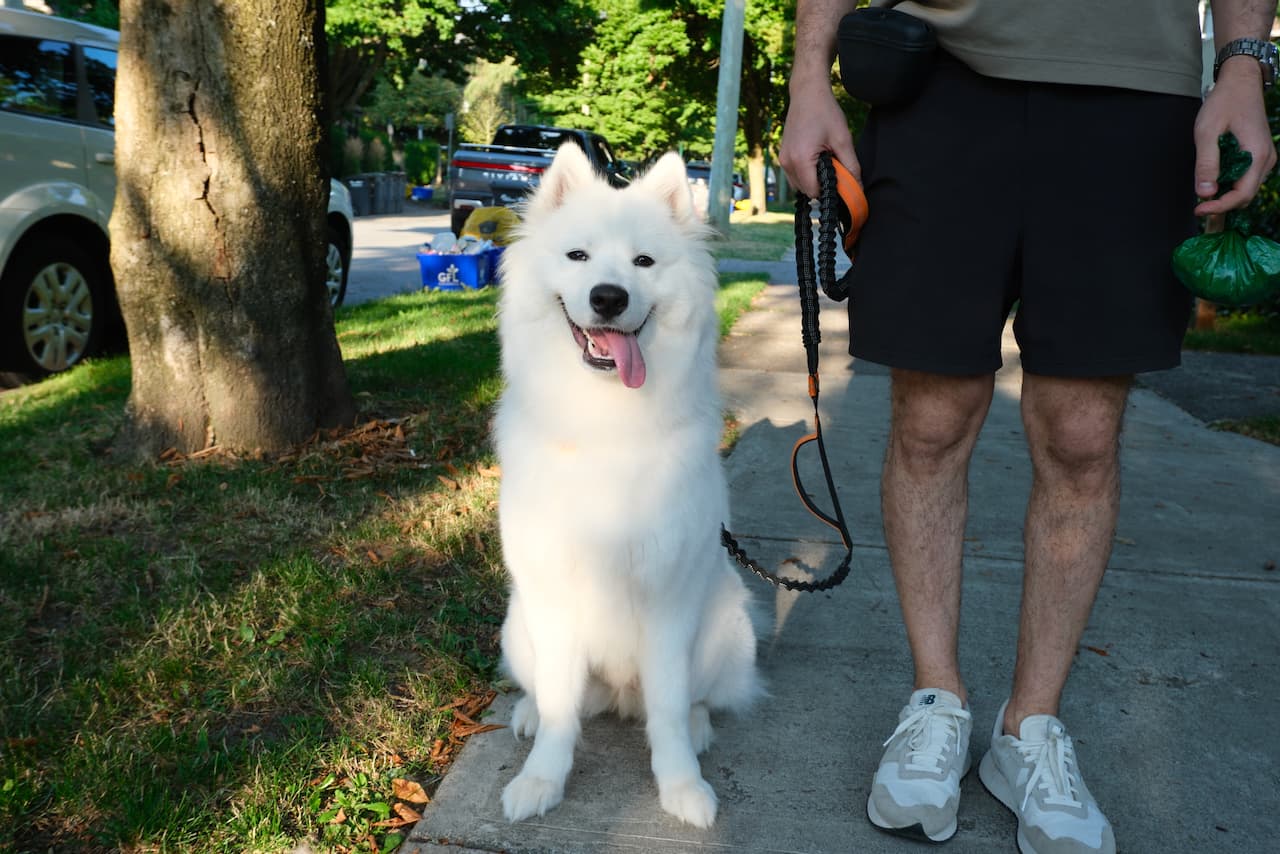 Founder with his dog Mochi